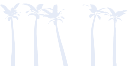palm trees